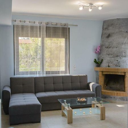 Filoxenia Apartment Artemida  Exterior photo