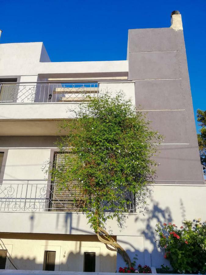 Filoxenia Apartment Artemida  Exterior photo